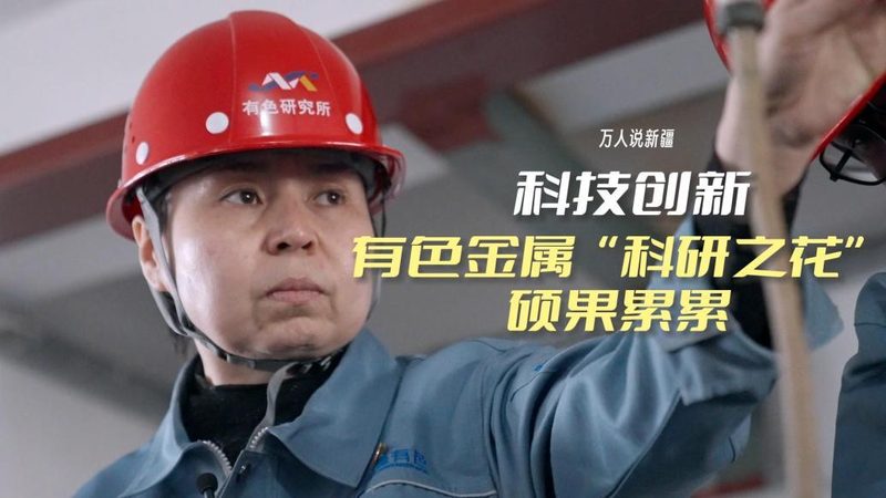 云服务器与物理机：性能与成本的双重考量